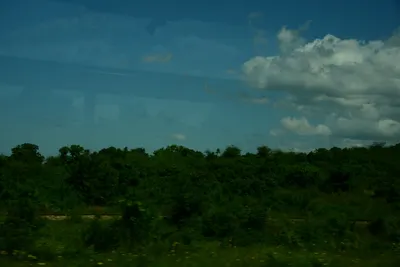 DSC_9646 (Large).JPG